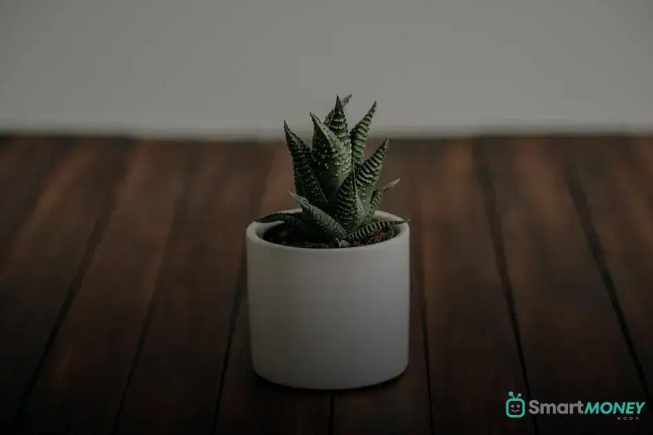 Best Timing for Pruning