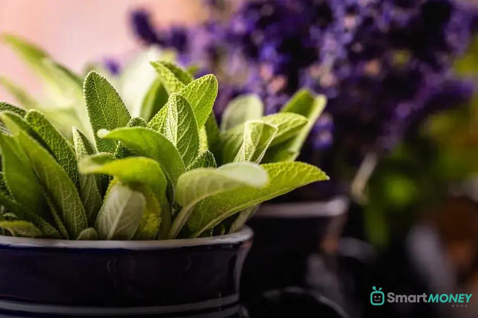 Choosing the Right Transportation Containers