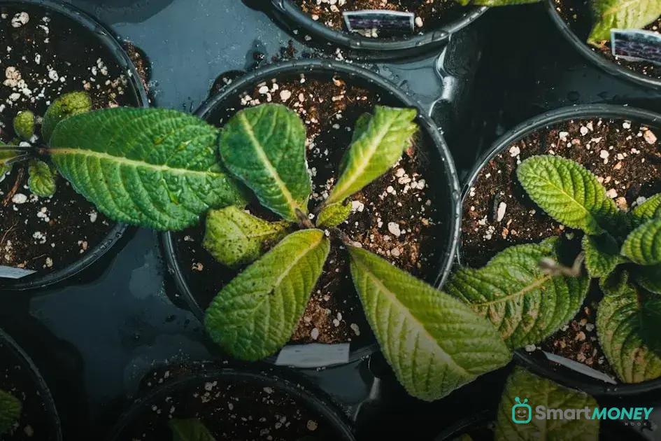 Common Mistakes and How to Avoid Them