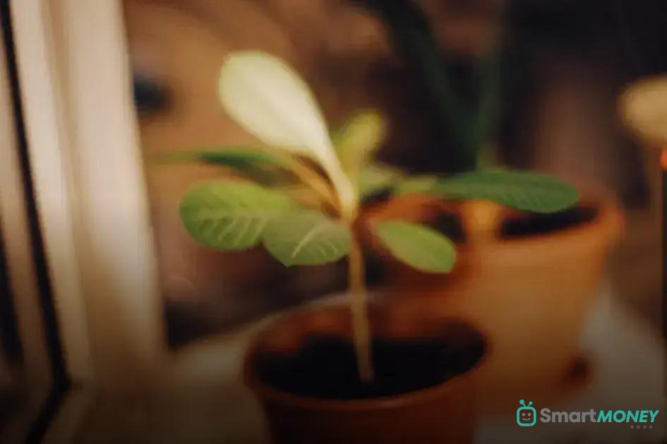 How to Start a Plant Journal to Track Growth Effectively