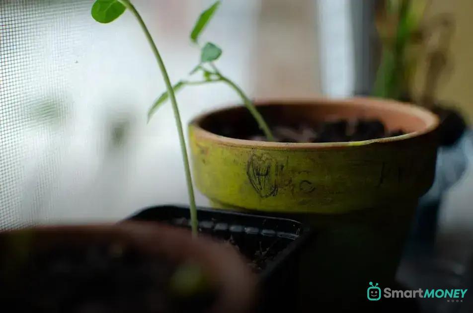 Insulating Your Garden for Cold Weather