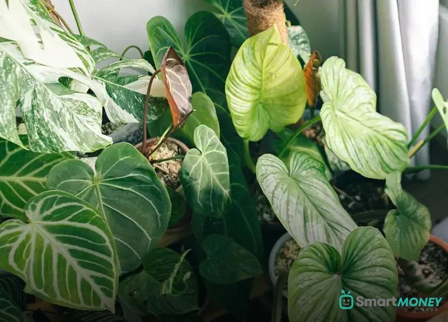 Monitor and Manage Moisture Levels