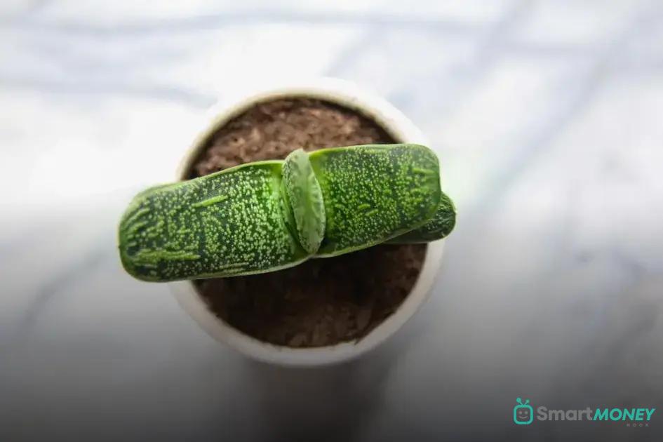 Protective Covers: How and When to Use