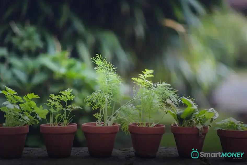 The Role of Temperature in Growth